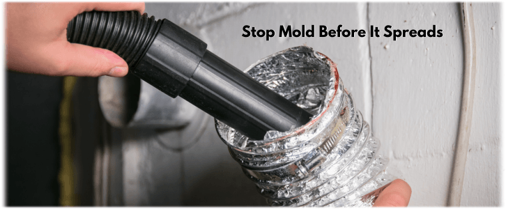Air Duct Mold Removal in Aventura